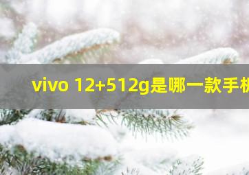 vivo 12+512g是哪一款手机